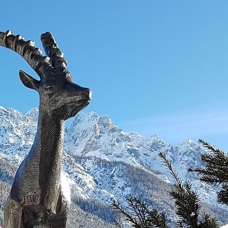 クランスカゴーラNigritellaアパートメント エクステリア 写真